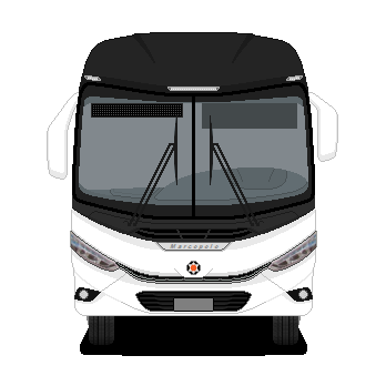 Marcopolo Viaggio G8 900 🇧🇷